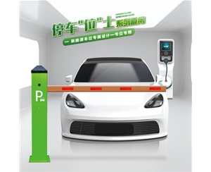 莱西RG-CW系列车位小道闸